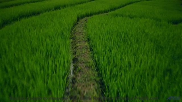 Грозовые тучи и жёсткий дроп! - The Whales Bay -- Omura -- The Whales Bay