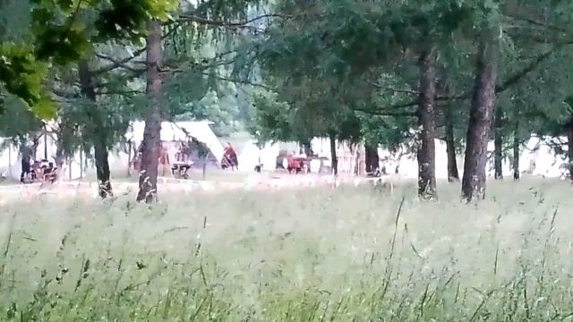 Пракрити и Викрити. Описание кртинки