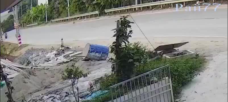 Четвероногий нарушитель ПДД опрокинул два скутера в Китае