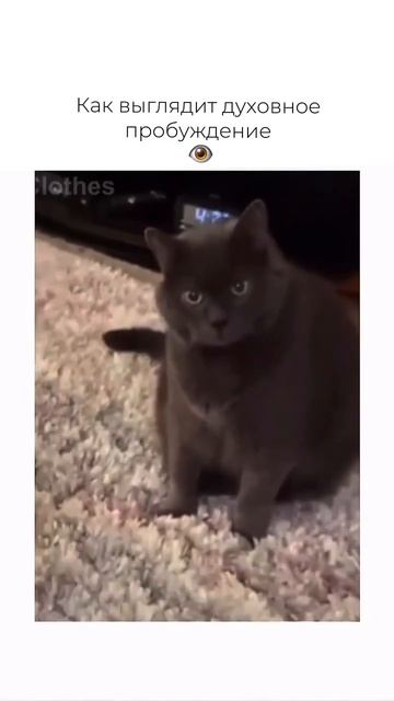 Как выглядит Духовное Пробуждение
