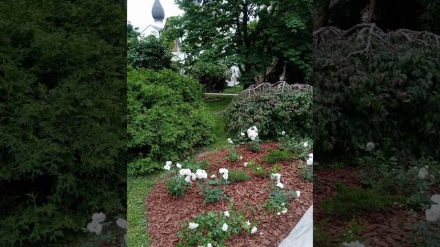 YouCut_20250612_214048957.mp4