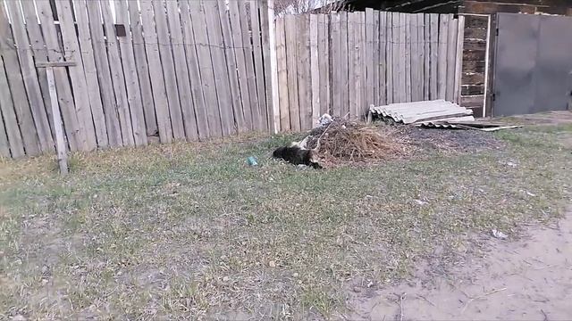 мем 4 ПОДБОРКА СТАРЫХ ВИДЕО