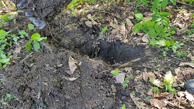 VID_20250612_163239
