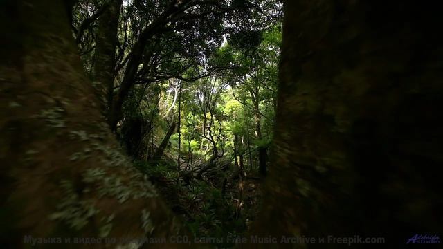 Он заставит тебя верить в чудеса снова! - Not Stopping -- Ketsa -- Abundance