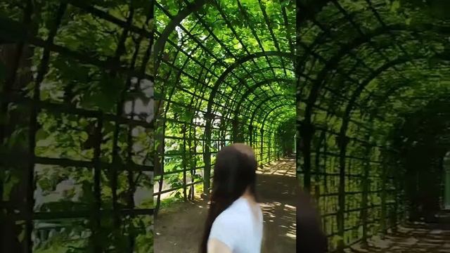 Санкт-Петербург От Александры 13.06.25.