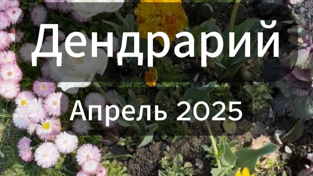 Дендрарий. Апрель 2025