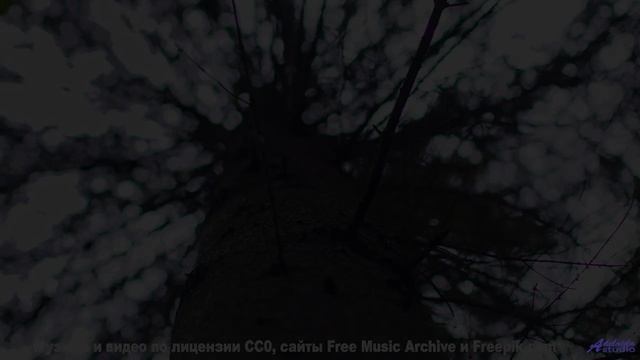 Огненный закат и пламенный бит! - starfish -- los pilotos -- starfish