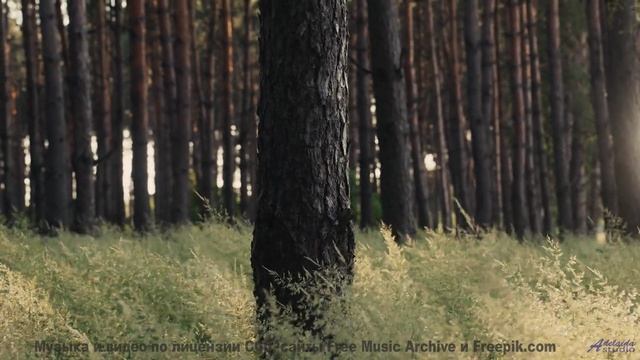 Почему духовные лидеры запрещают эту музыку - (Weaving) -- Tim Woulfe -- A House Is A Holding