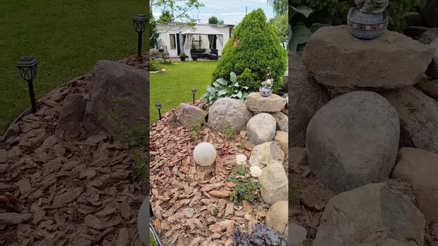 petal_20250531_155007.mp4