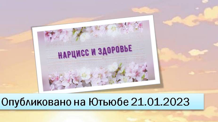 Нарцисс и здоровье (фрагменты эфира от 21.01.2023)
