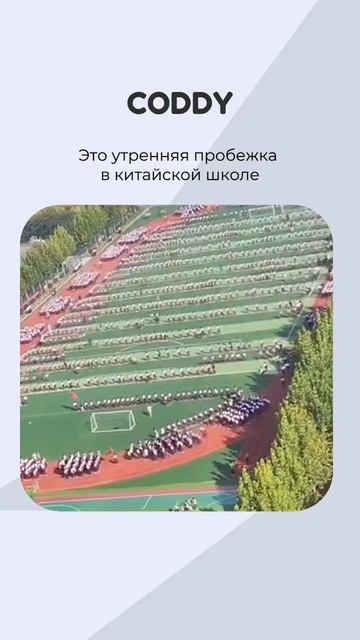А ВЫ ЕЩЕ НА ФИЗКУЛЬТУРУ В СВОЕЙ ШКОЛЕ ЖАЛОВАЛИСЬ😹