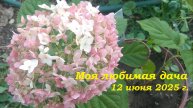 12.06.2025 _ Моя любимая дача