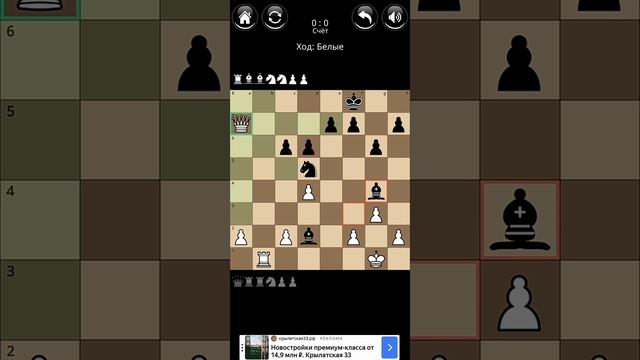 Играю в шахматы.