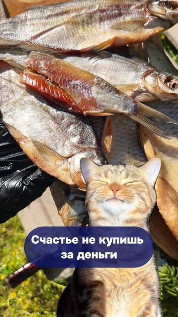 Наша рыбка точно сделает вас счастливее ☺️