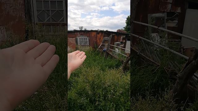 Все зарастает