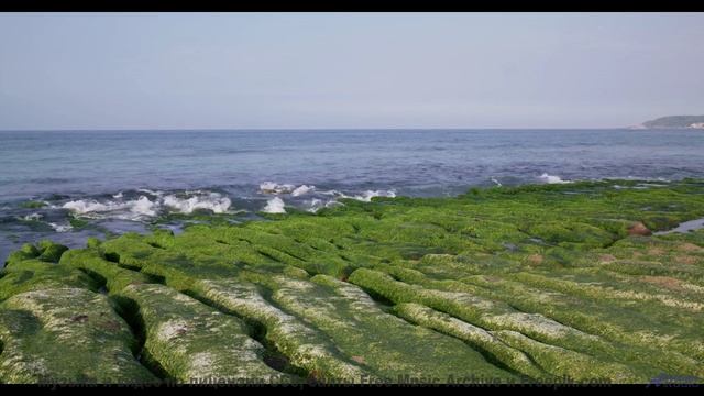 Эта мелодия написана вашим будущим я - парадокс времени! - Вампир (feat. Никита Прокопьев) -- POVALI