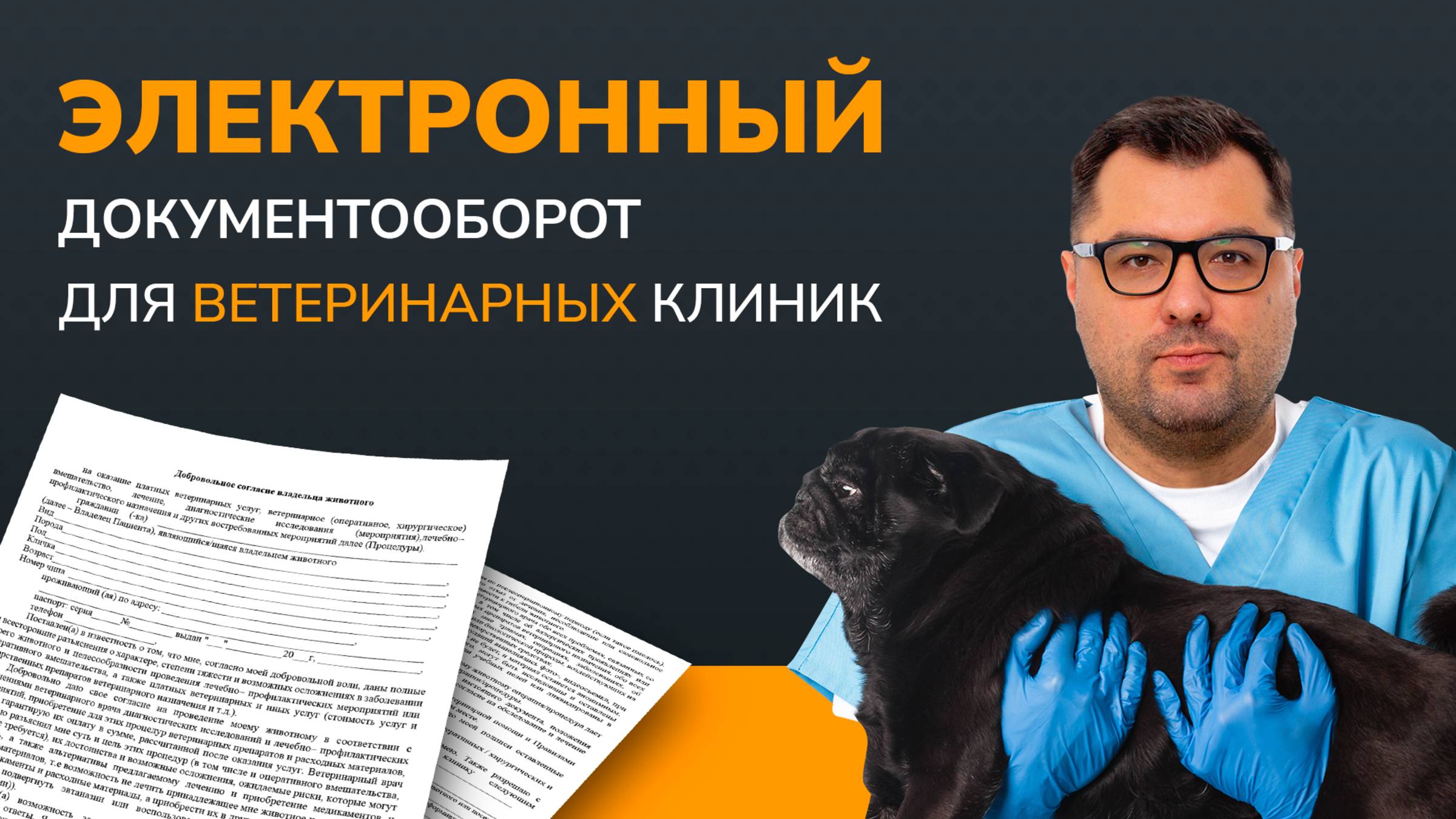 Электронный документооборот в ветеринарных клиниках: как подписывать документы быстро и без очередей
