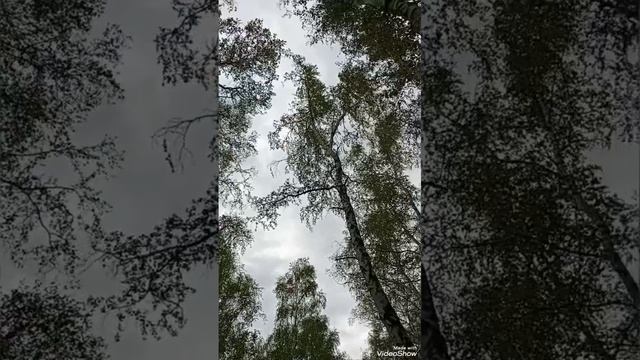 Место силы!