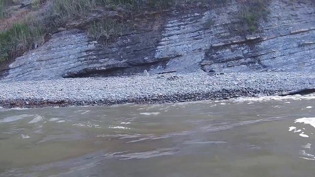 Анапа 13.06.2025
Мутная вода