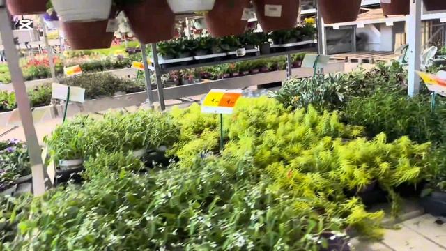 Магазин Депо разнообразие цветов