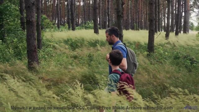 Звуки, материализующие мысли - где граница между наукой и магией - Chance Meeting -- Ketsa -- Metaph