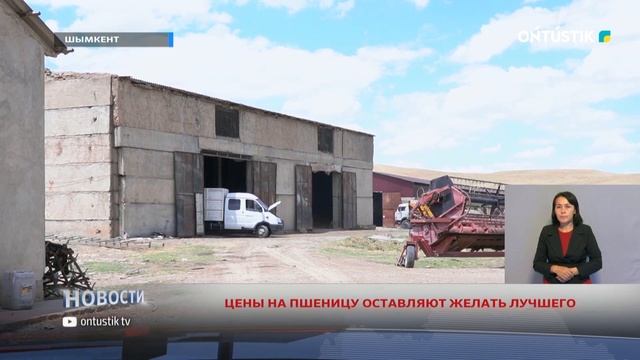 ЦЕНЫ НА ПШЕНИЦУ ОСТАВЛЯЮТ ЖЕЛАТЬ ЛУЧШЕГО