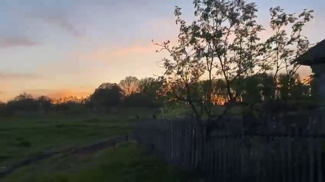 1000068639.mp4