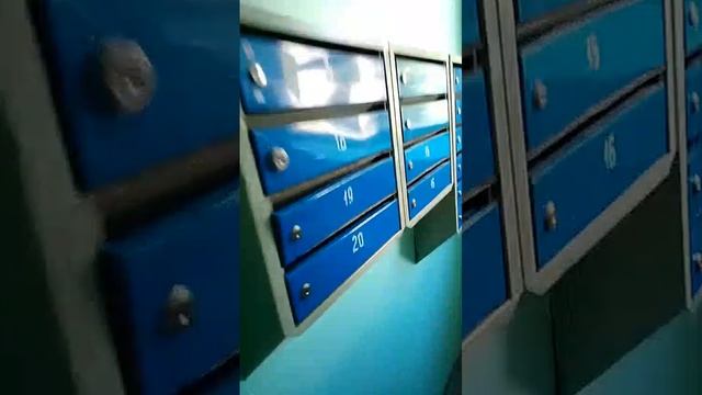 1000043465.mp4