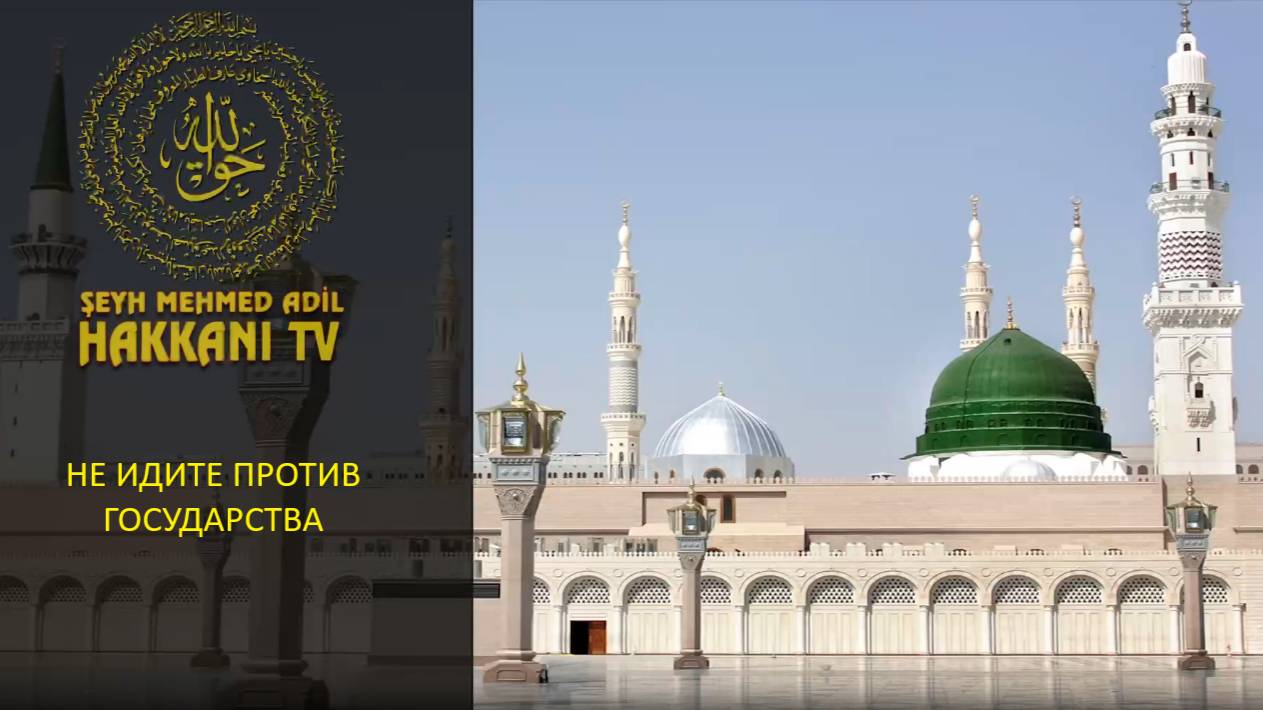 Не идите против государства - لا تتدخل في شؤون الحكومة