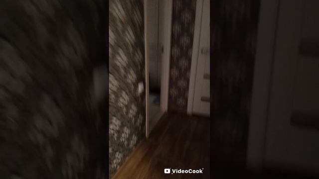 весёлые прятки
