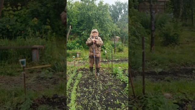 Благословеный дождь! Записки Отшельника Мценского уезда.