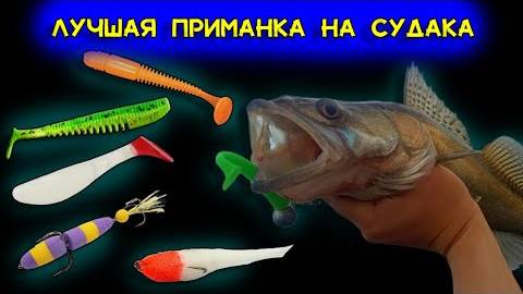 Лучшие приманки на судака 2025 — как грамотно вставить тройник и выбрать съедобную резину