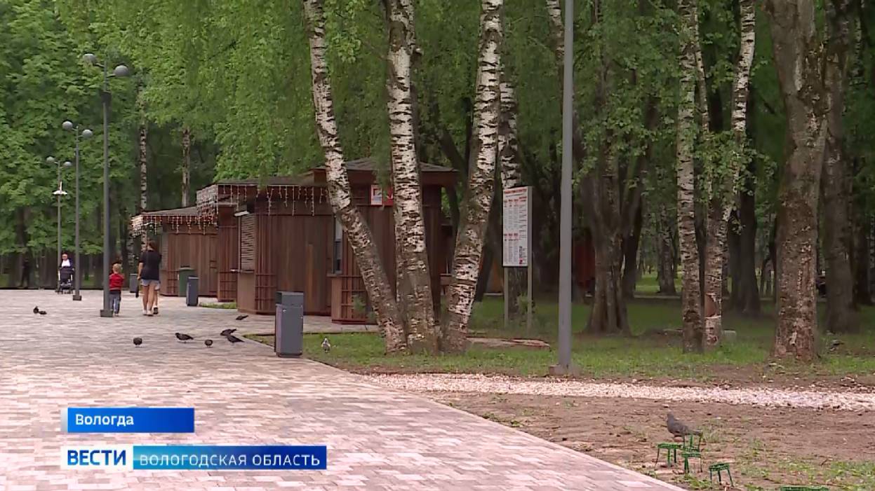 Синоптики рассказали о погоде в Вологодской области