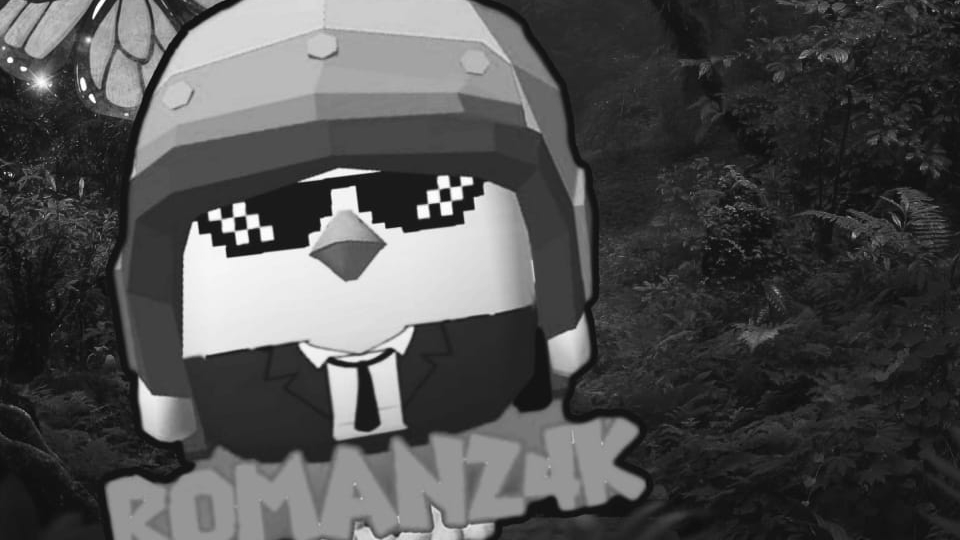✧Roman24k✧