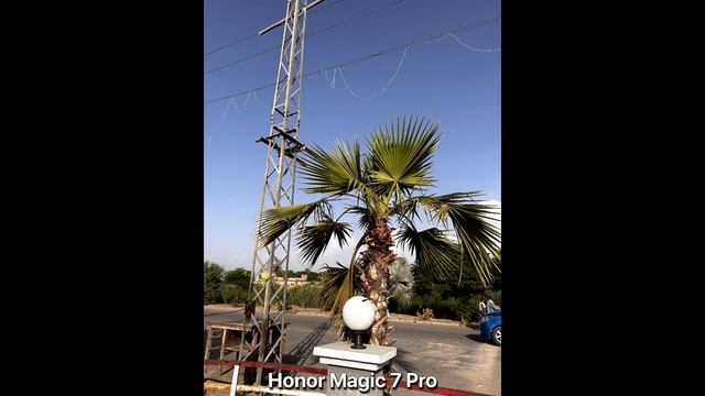 Huawei Pura 80 Ultra Vs Honor Magic 7 Pro - сравнение камер в реальной жизни