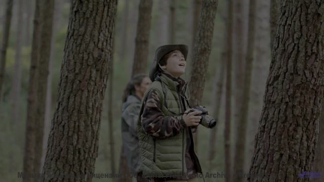 Природа становится личной вселенной под этот трек - Illumination -- Siddhartha -- The Truth Within