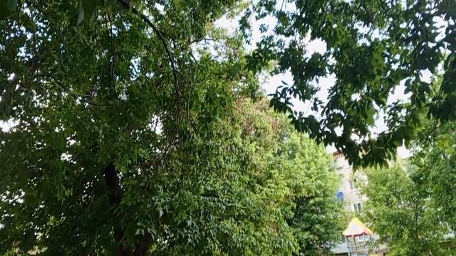 #Дворы #Тамбов