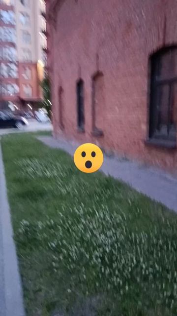 В одном чёрном чёрной городе...