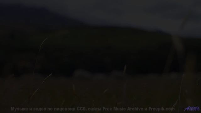 Сядьте у костра, включите этот трек - и пусть ночь будет вашей! - Road Energy -- Shaolin Dub -- Dual