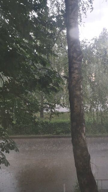 1000008555.mp4. 🖋️🚀 ДОЖДЬ И ГРАД 🌧️ 🖋️🚀🖋️