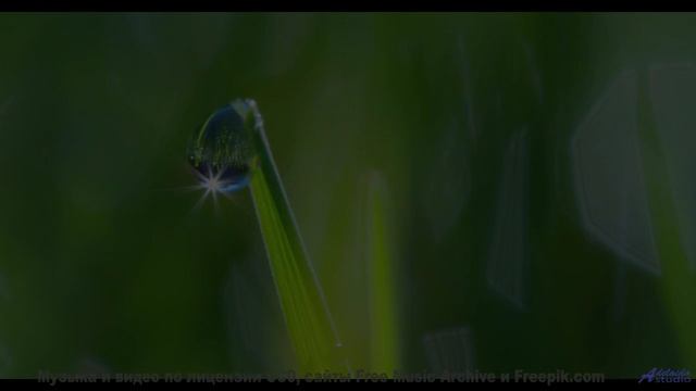 Этот клип заставит забыть обо всём на свете - Imprinter -- Chad Crouch -- Arps II