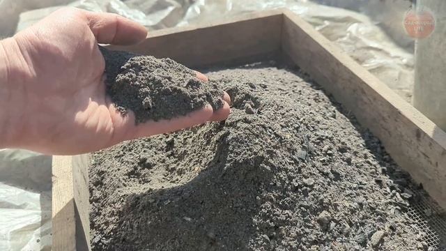 Чеснок вырастет крупным с кулак Валуева после этой подкормки в июне!!!