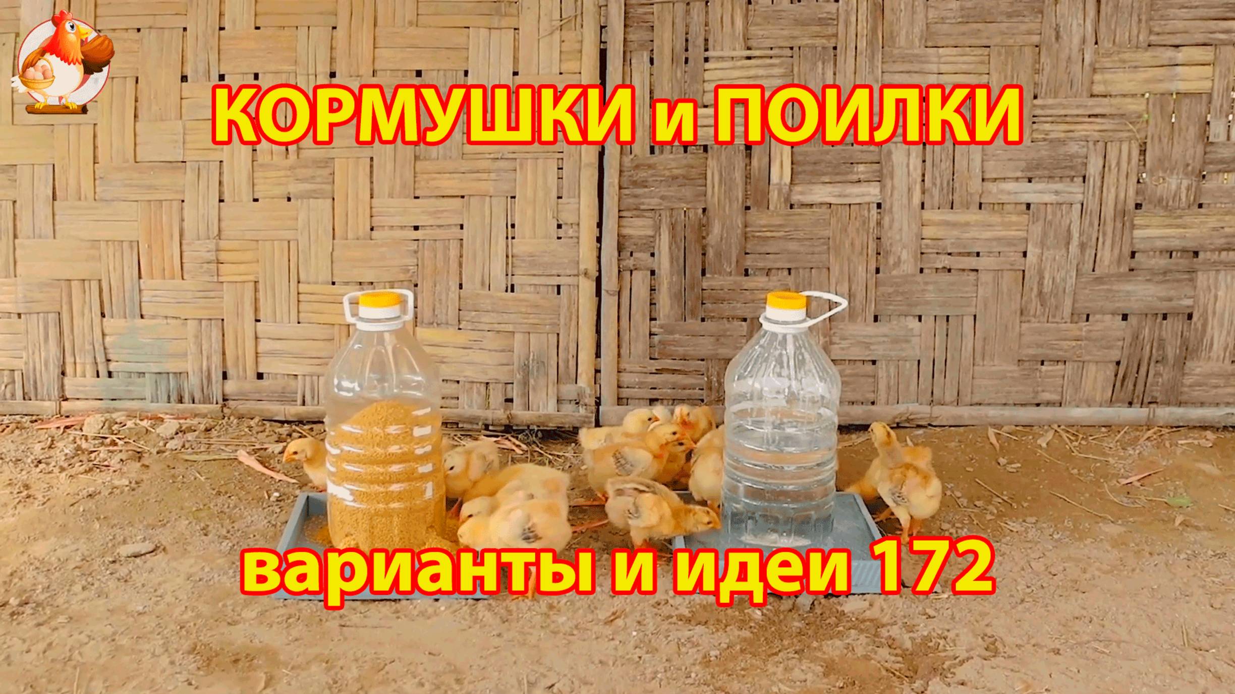 Кормушки и поилки для кур своими руками (172) 🪚✂️ Пошаговая инструкция как сделать 🐔 🐓❣️