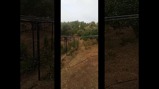 Как всё выгорает в это время. Португалия.