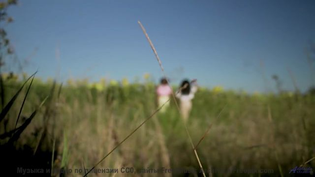 Почему Илон Маск ставит это видео на репит - Yaya Nohay (XXVI) -- opo -- Estudios Indigeniformes