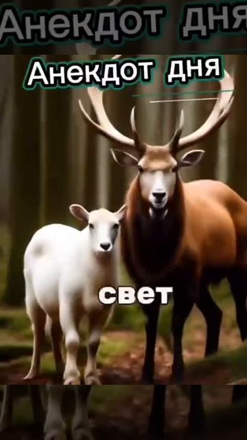 Анекдот про папу козла🤣