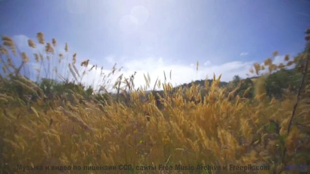Закат, который звучит так сладко! - Im Aware of You (Julia Felix) -- Ov Moi Omm -- Unnamed album