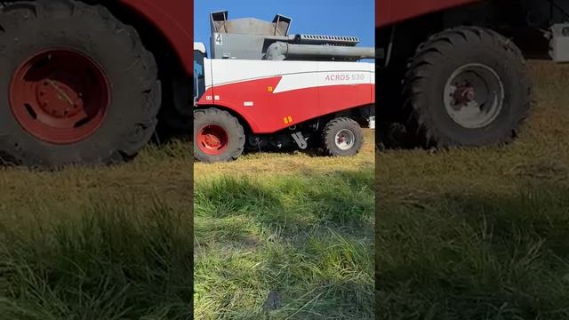 Видео WhatsApp 2025-06-13 в 16.18.54_5ddae930