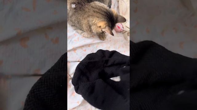 Кардиган спицами/ вязаный кардиган/ кардиган