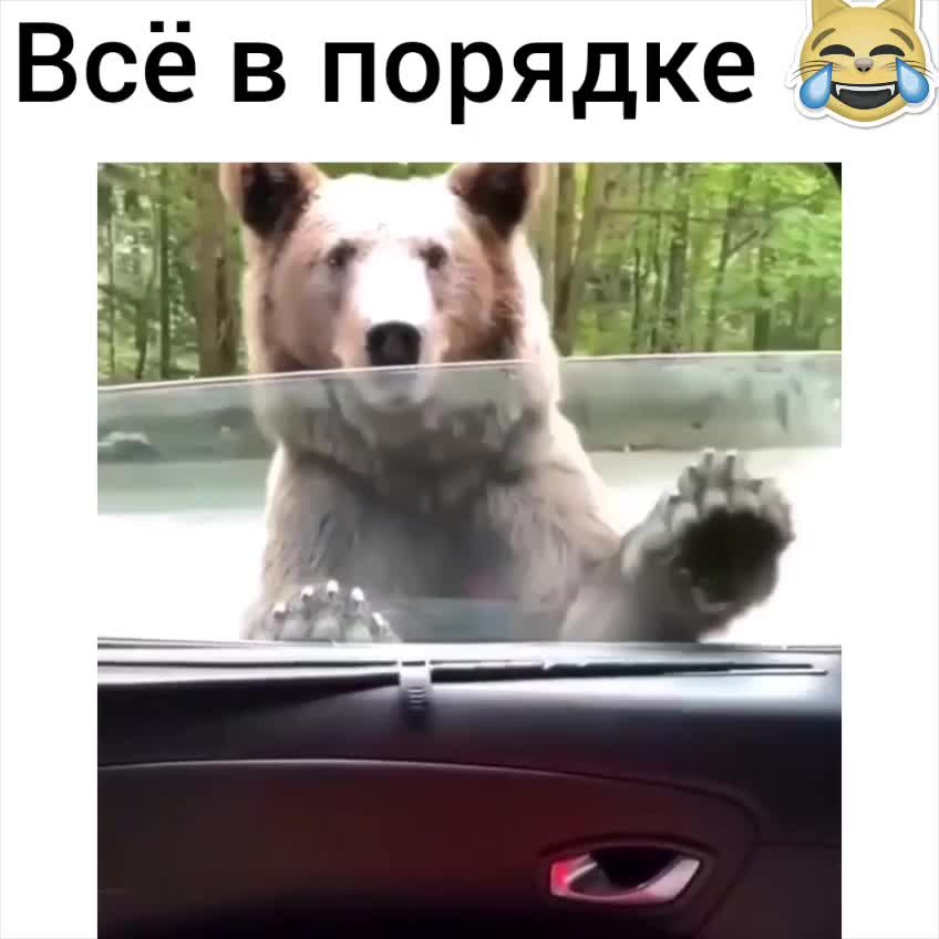 Всё в порядке!😆